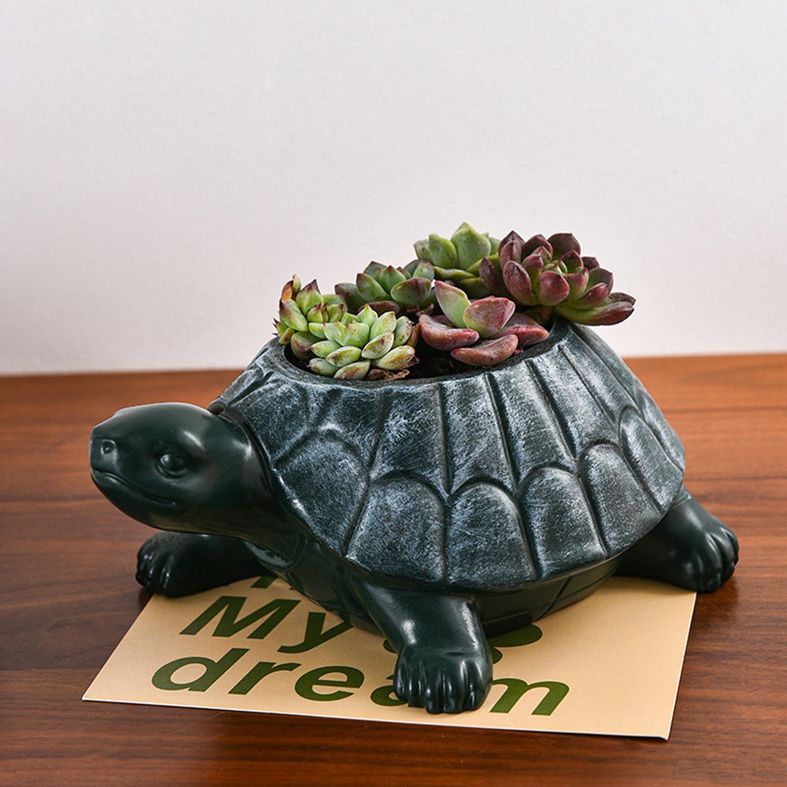 Bonsai Garden Cafe - Turtle Planter Flower Pot Collectible Decorative