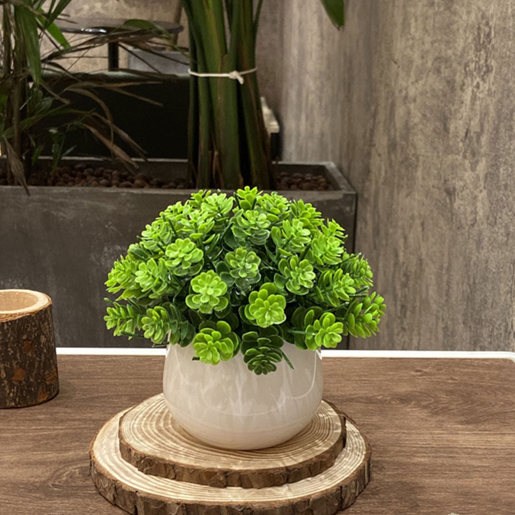 Realistic Fake Bonsai Artifici - огляд і ціна Bonsai Garden Cafe