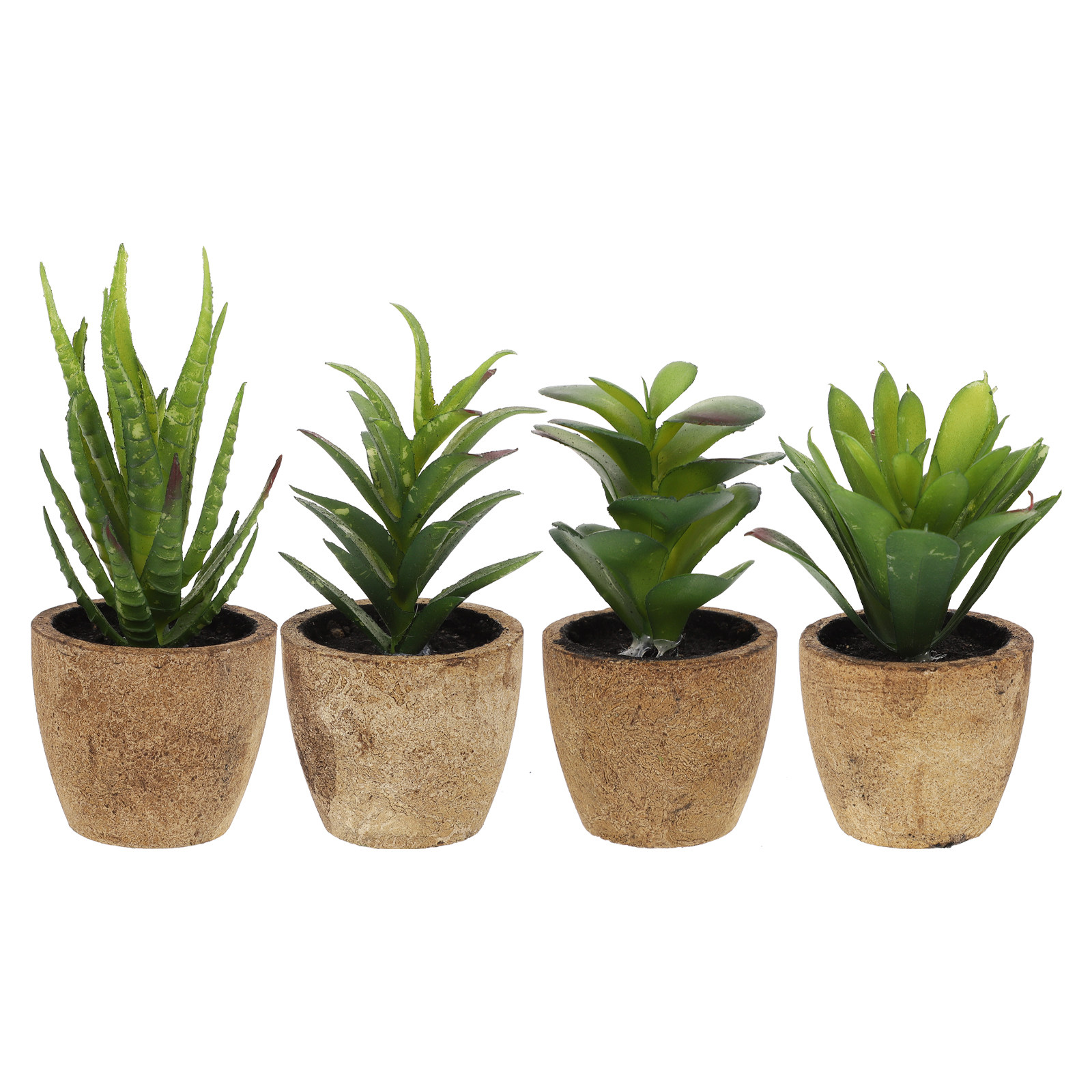 4Pcs Realistic Artificial Succ - огляд і ціна Bonsai Garden Cafe