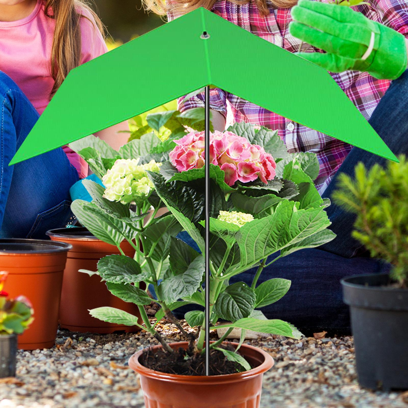 Plant Umbrella Anti-UV Heat Re - огляд і ціна Bonsai Garden Cafe