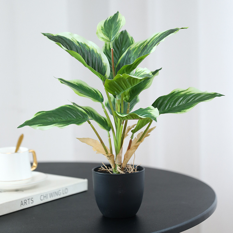 Simulation Green Plants Pothos - огляд і ціна Bonsai Garden Layout