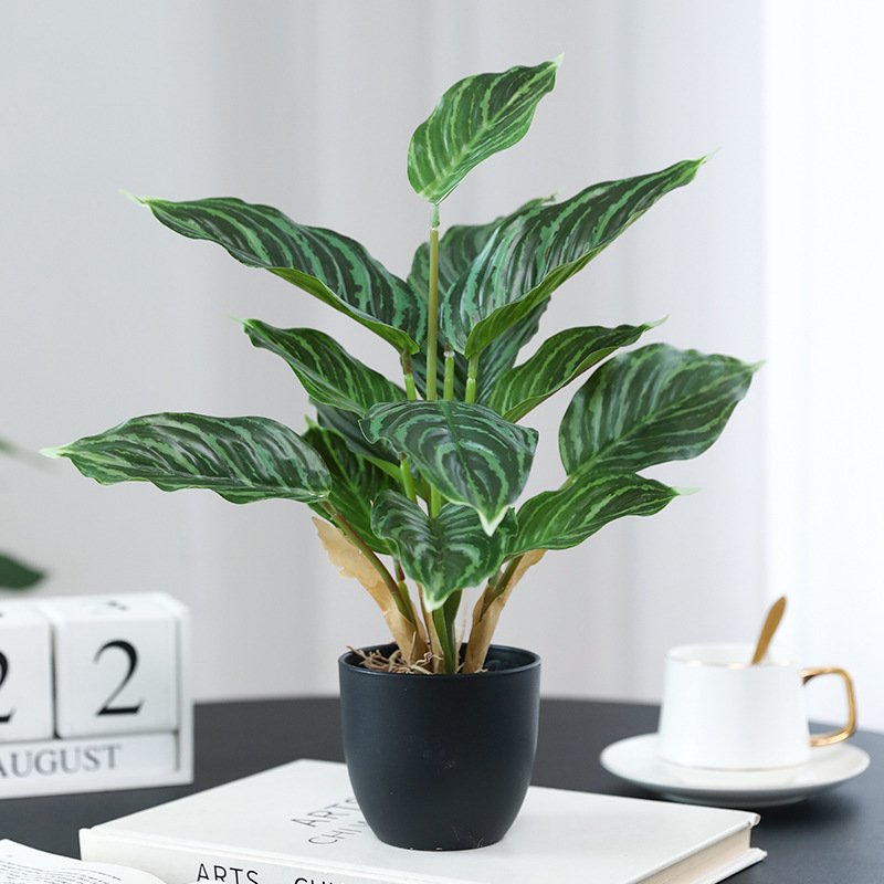 Simulation Green Plants Pothos - огляд і ціна Bonsai Garden Layout