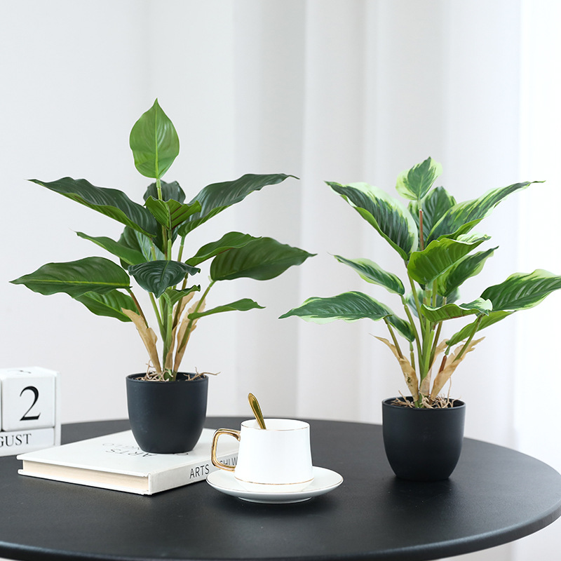 Simulation Green Plants Pothos - огляд і ціна Bonsai Garden Layout