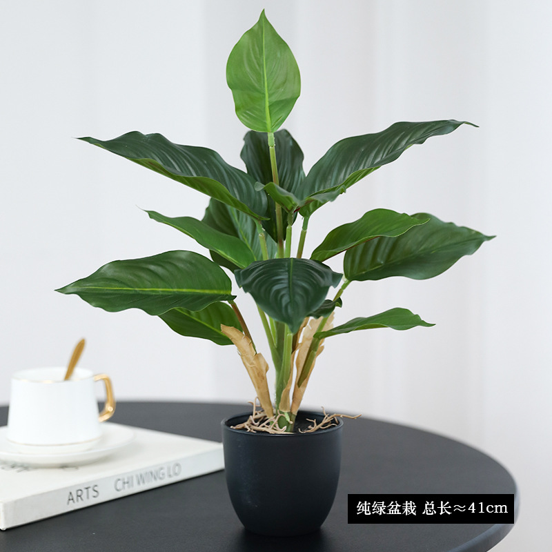 Simulation Green Plants Pothos - огляд і ціна Bonsai Garden Layout