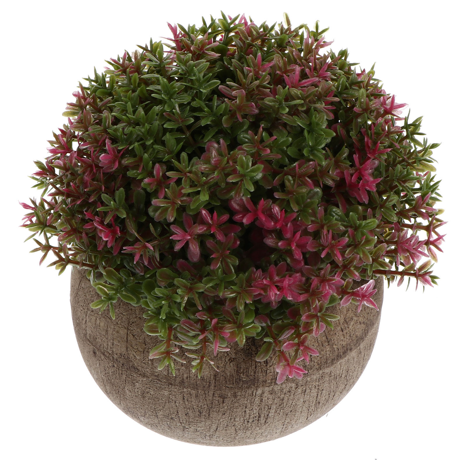 Mini Plastic Bonsai Realistic  - огляд і ціна Bonsai Garden Cafe