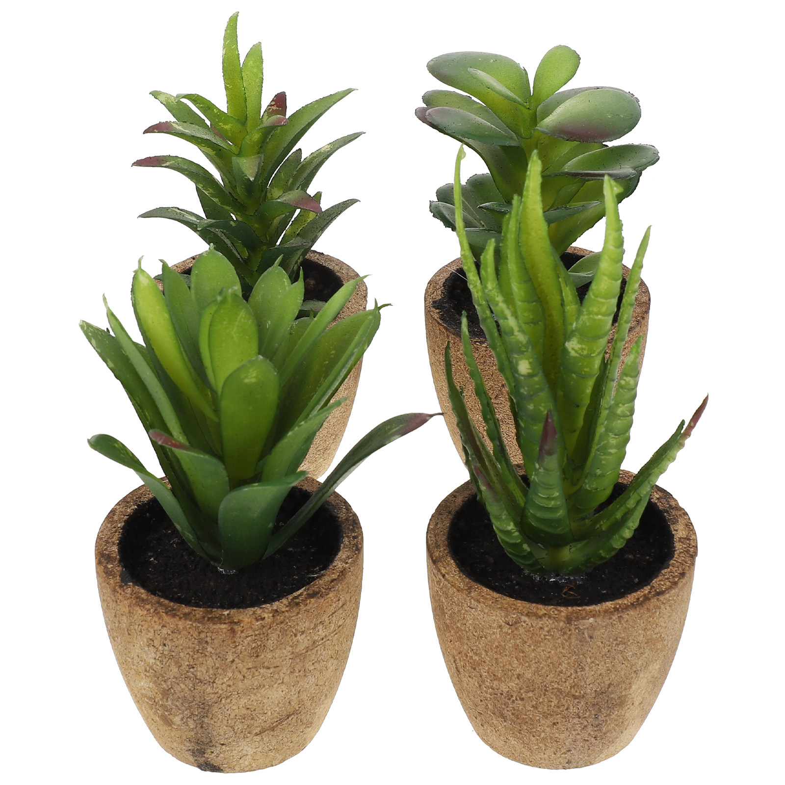 4Pcs Simulation Succulent Bons - огляд і ціна Bonsai Garden Cafe